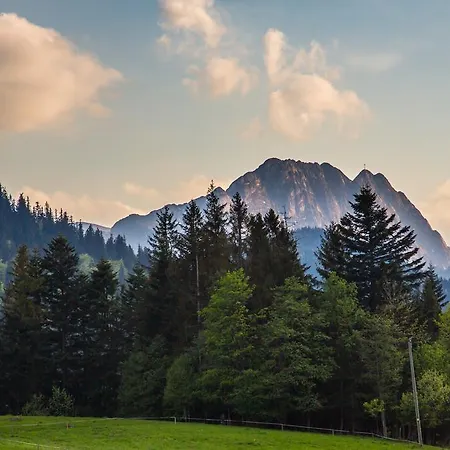 Stachoniowka 2 Zakopane