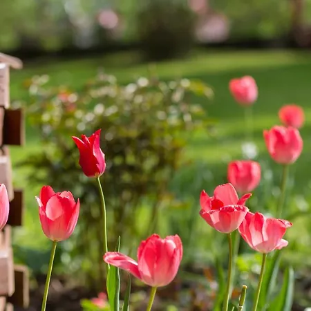 Séjour chez l'habitant Stachoniowka 2 Zakopane