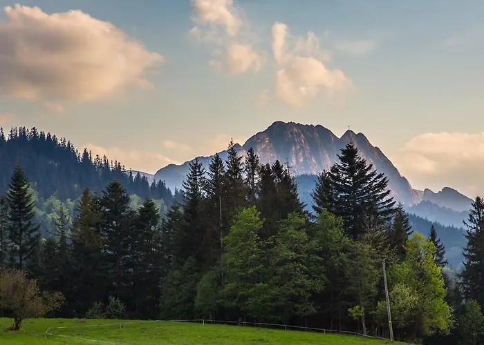 Stachoniówka 2 Zakopane