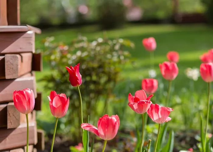 Habitación en casa particular Stachoniówka 2 Zakopane